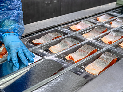 Fish-Processing-Refrigeration