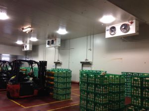 Glycol coolers Milk Distribution