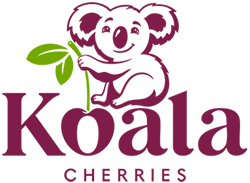Koala cherries
